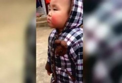 小鱼仙馆爆料视频大全最新,揭秘神秘仙界幕后故事