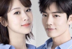 杨紫肖战的最新爆料,幕后故事与精彩瞬间大公开